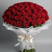 Букет 101 Красная роза Блэк Мэджик в Никольский