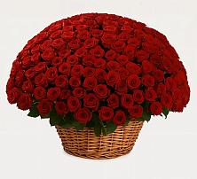 Премиум букет из: Розы #REPLACE_PRED# Никольский