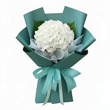 Букет цветов из:  Гортензия в Никольский